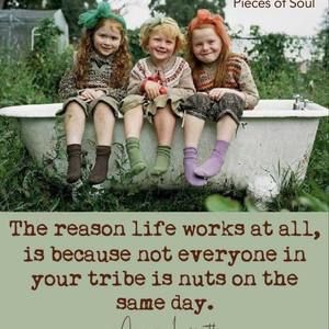 Meet your Posher, Sheila